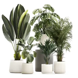 Collection of plants